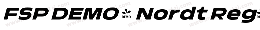 FSP DEMO - Nordt Reg字体转换
